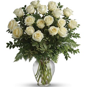 Randolph Florist | 18 White Roses