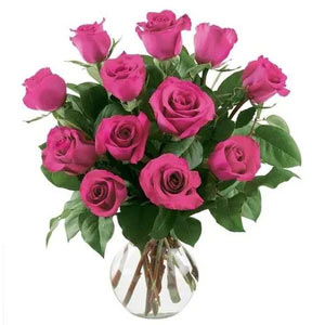 Randolph Florist | 12 Bright Pink Roses