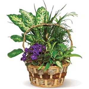 Randolph Florist | Pretty Basket