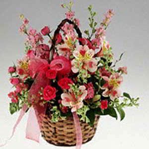 Randolph Florist | Basket of Pinks