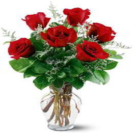 Randolph Florist | Six Red Roses
