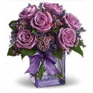 Randolph Florist | 6 Lavendar Roses