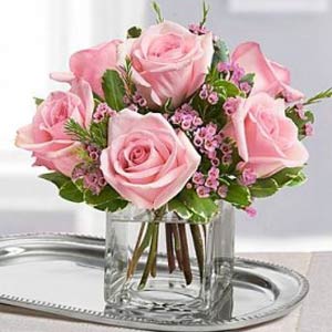 Basking Ridge Florist | 6 Pink Roses