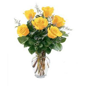 Randolph Florist | 6 Yellow Roses