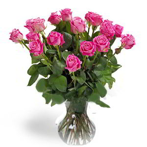 Randolph Florist | 18 Pink Roses